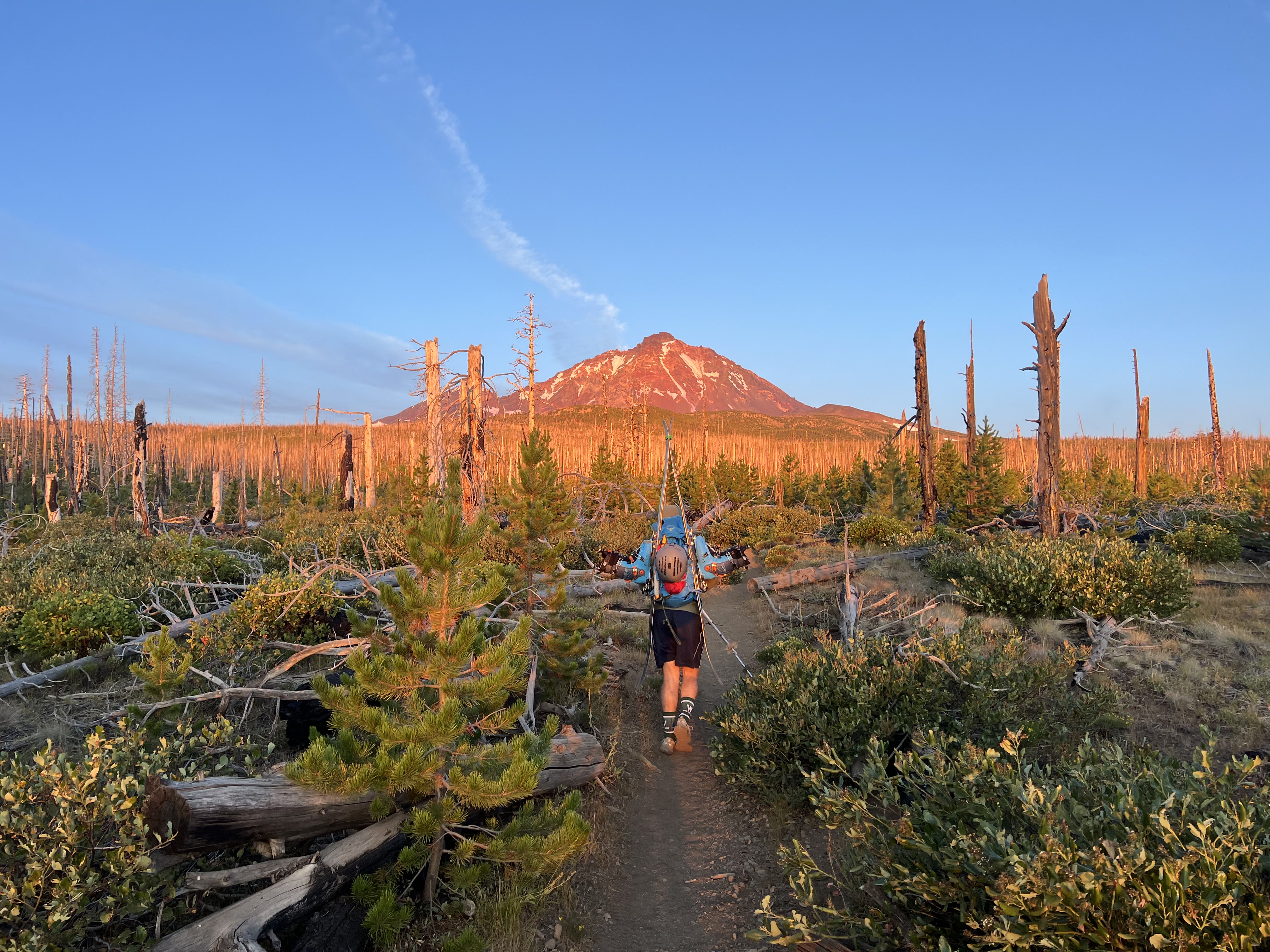 North sister in the morning