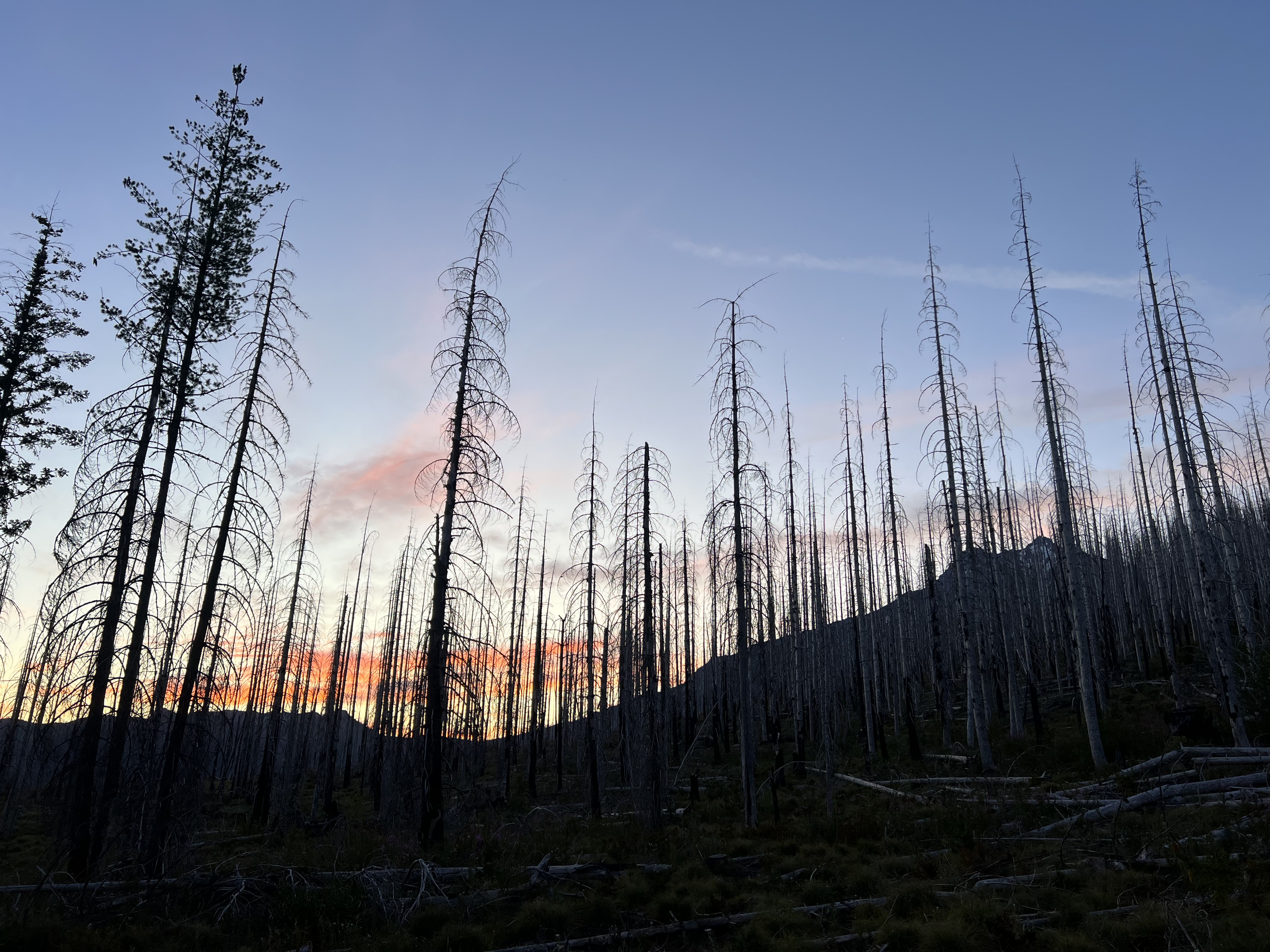 Sunrise from trailhead