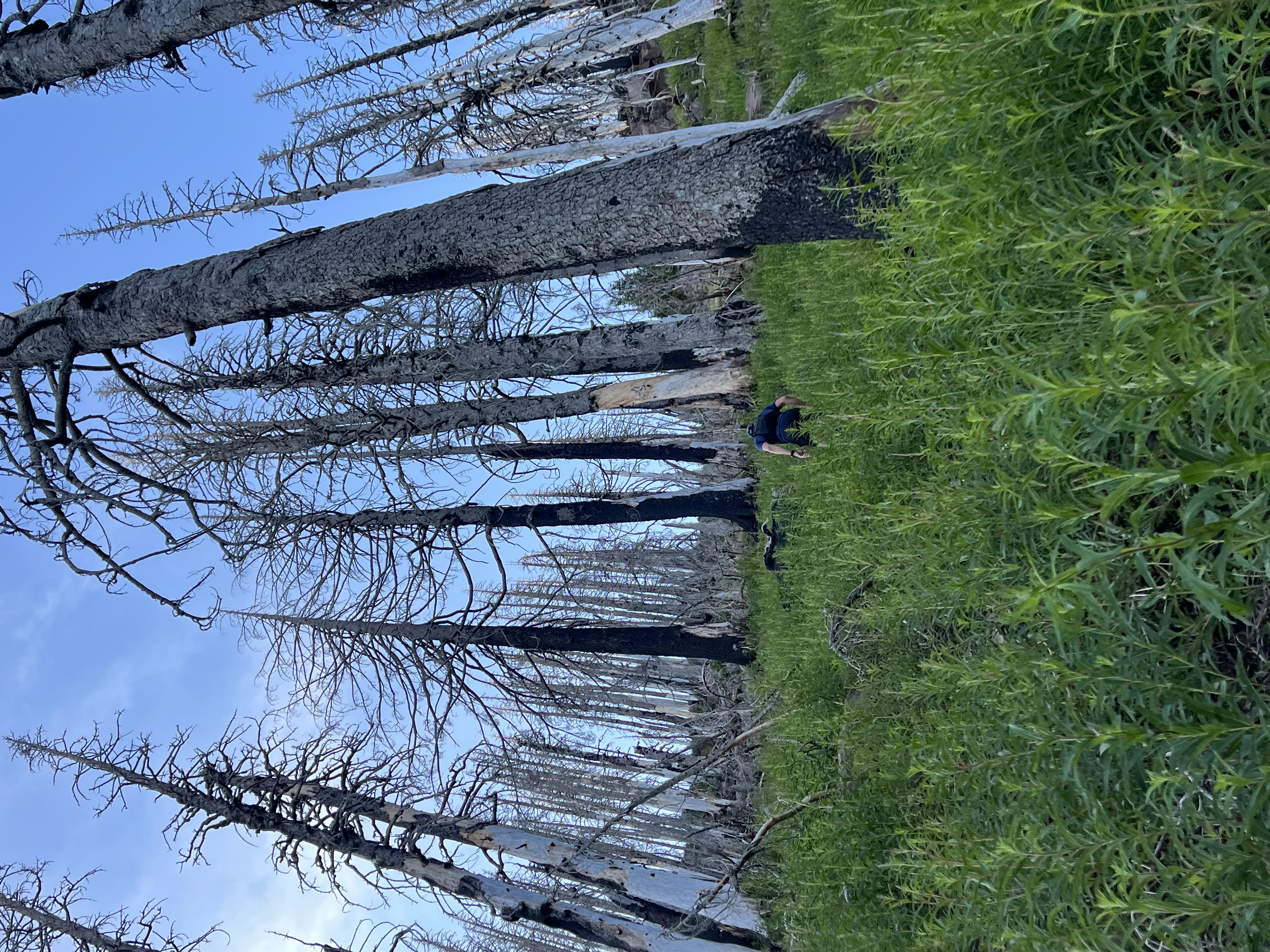 Vertical shot 1